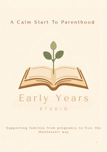 Pregnancy Guide cover